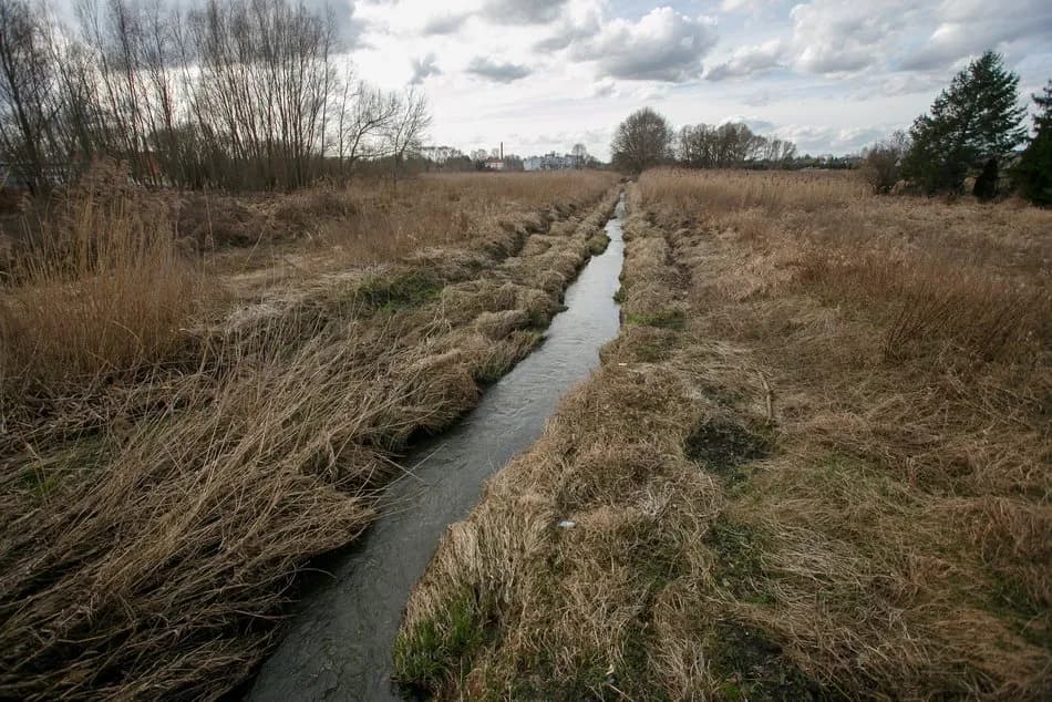 Jakie rzeki płyną przez Łódź? Odkryj ich tajemnice i znaczenie