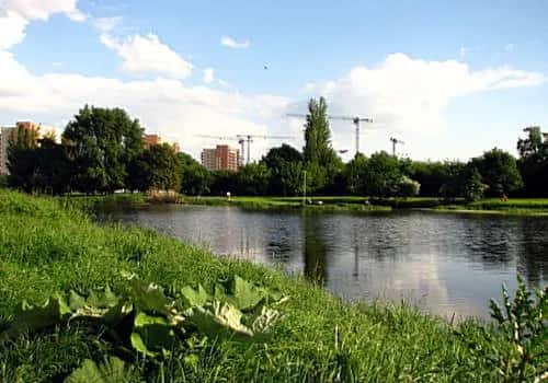 Jezioro Gocławskie: tajemnice, ekologia i kontrowersje w Warszawie