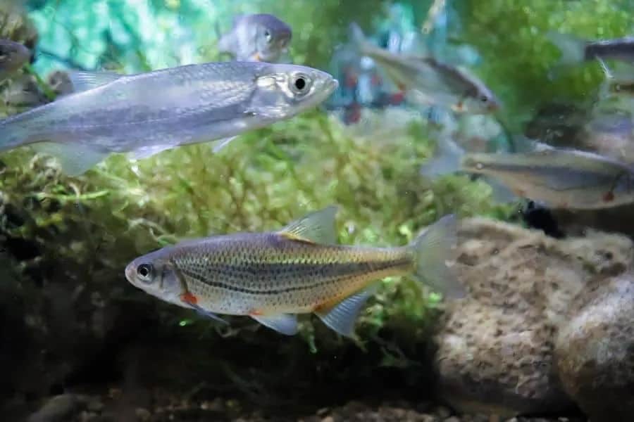 Gdzie na ryby z noclegiem? Najlepsze lokalizacje w Polsce na wędkowanie